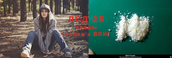 тгк Алзамай