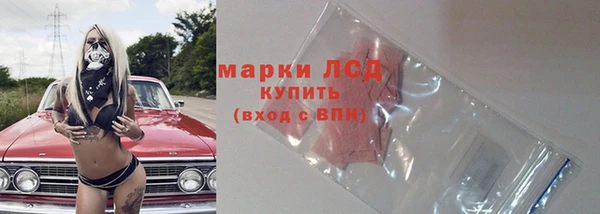 тгк Алзамай