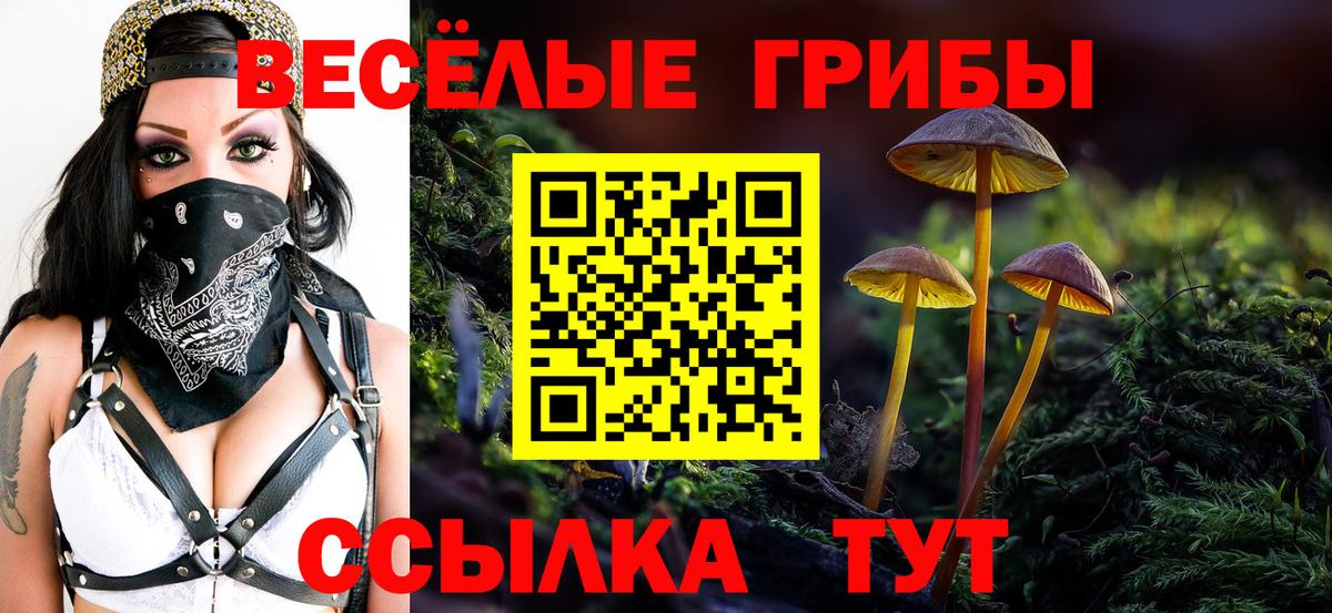 Галлюциногенные грибы Cubensis  Вход с VPN  Воткинск 