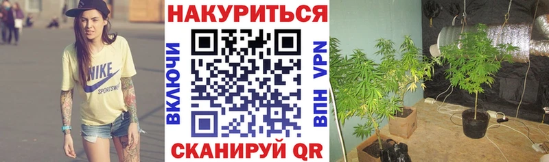МАРИХУАНА план  Воткинск 